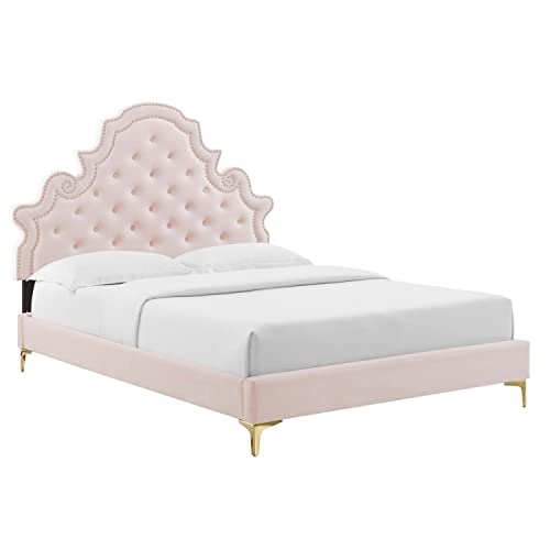 Modway Gwyneth Tufted Performance Velvet King Platform Bed in Pink with Gold Metal Legs