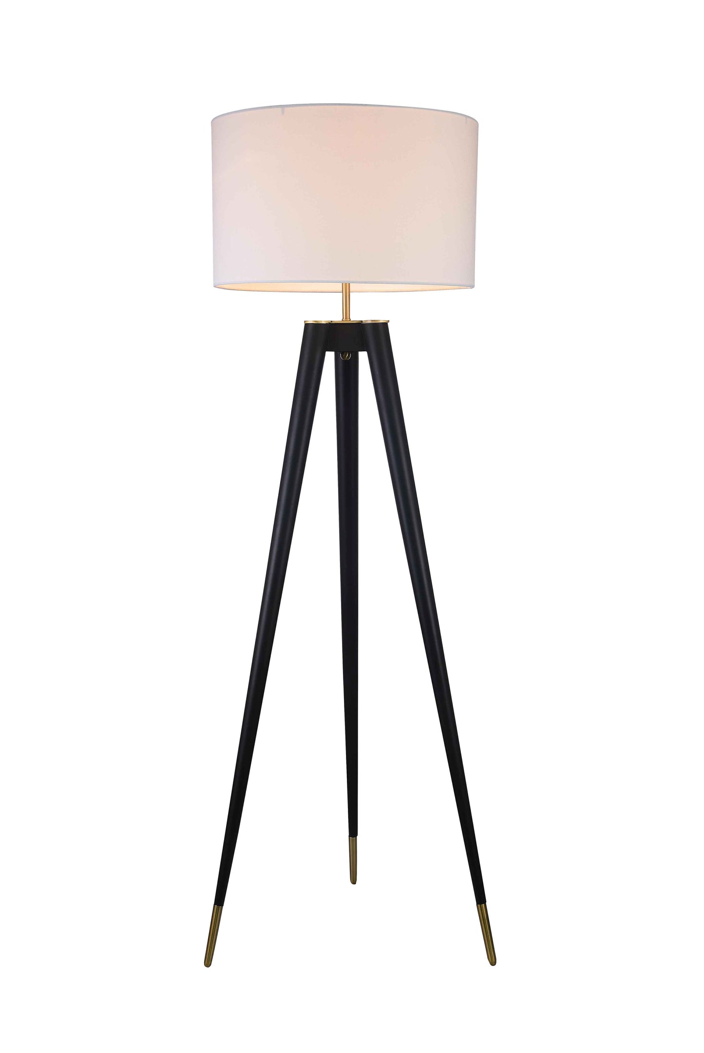 Black Floor Lamp - MFL17X-GD