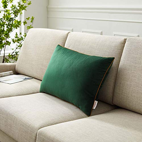 Modway Accentuate Lumbar Performance Velvet Throw Pillow