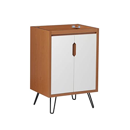 Energize 24" Bathroom Vanity Cabinet