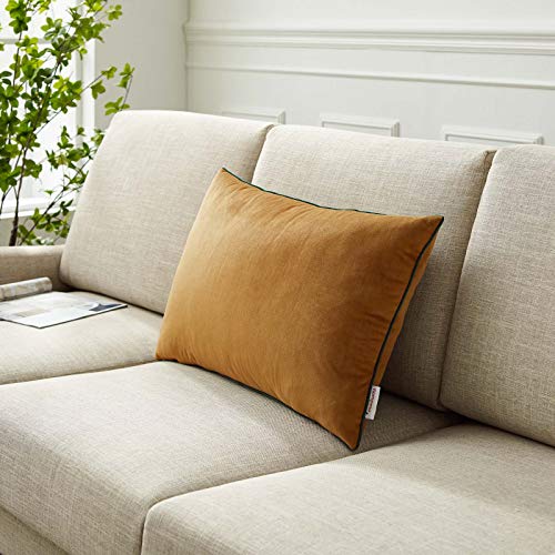 Modway Accentuate Lumbar Performance Velvet Throw Pillow