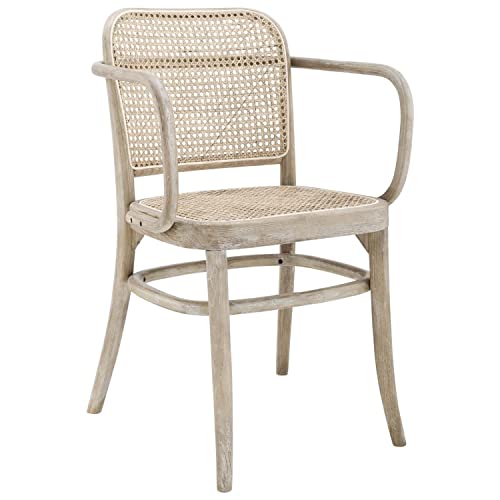 Modway Winona Elm Wood Dining Chair with Cane Rattan Seat