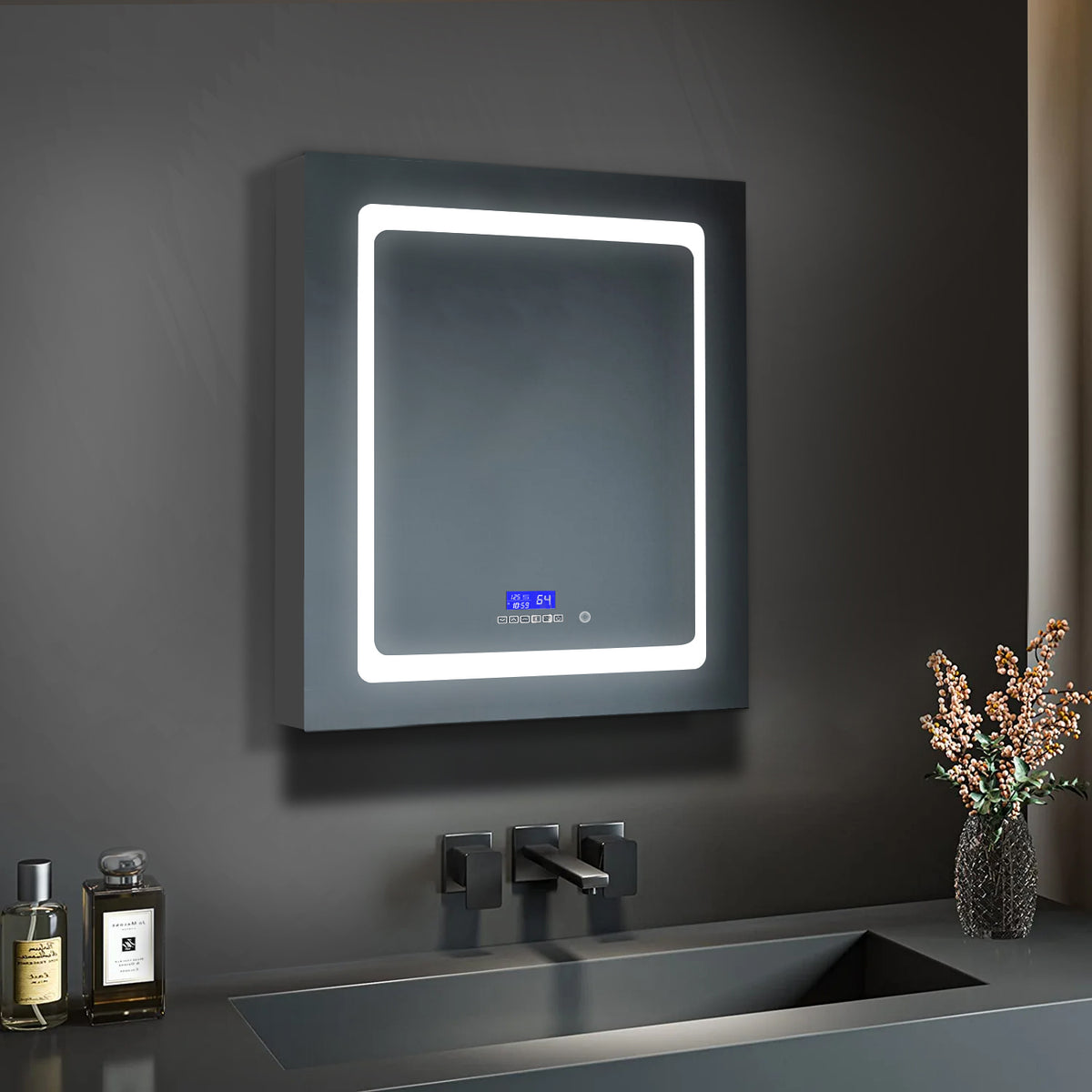 Lexora Bracciano 24 in. W x 32 in. H Surface-Mount LED Mirror Medicine Cabinet with Defogger