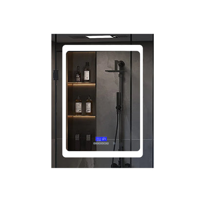 Lexora Bracciano 24 in. W x 36 in. H Surface-Mount LED Mirror Medicine Cabinet with Defogger
