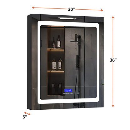 Lexora Bracciano 30 in. W x 36 in. H Surface-Mount LED Mirror Medicine Cabinet with Defogger