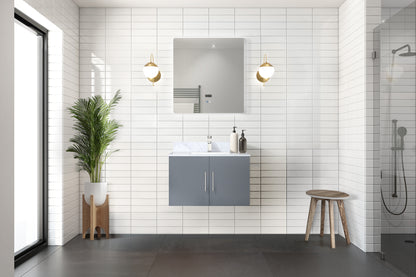 Lexora Geneva 30 in. Dark Grey Single Sink Bath Vanity