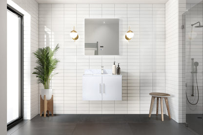 Lexora Geneva 30 in. Glossy White Single Sink Bath Vanity