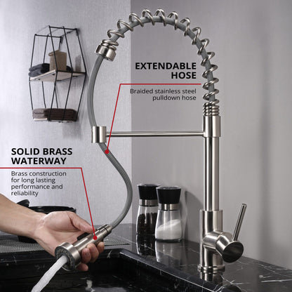 Lexora Lanuvio Brass Single-Handle Pull-Down Spray Kitchen Faucet in Brushed Nickel