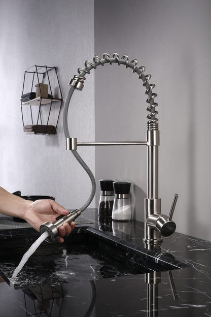 Lexora Lanuvio Brass Single-Handle Pull-Down Spray Kitchen Faucet in Chrome