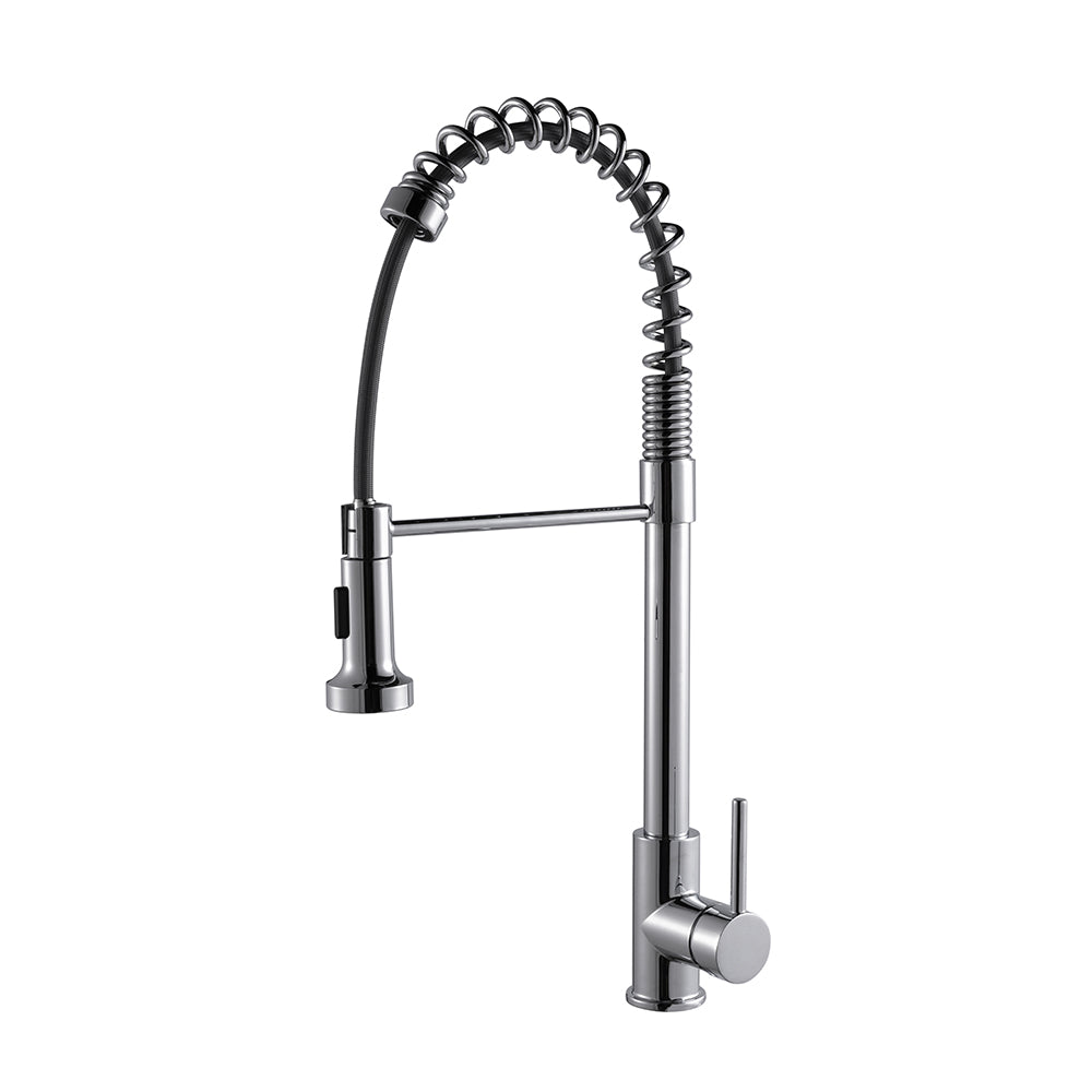 Lexora Lanuvio Brass Single-Handle Pull-Down Spray Kitchen Faucet in Chrome