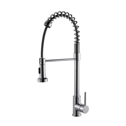 Lexora Lanuvio Brass Single-Handle Pull-Down Spray Kitchen Faucet in Chrome