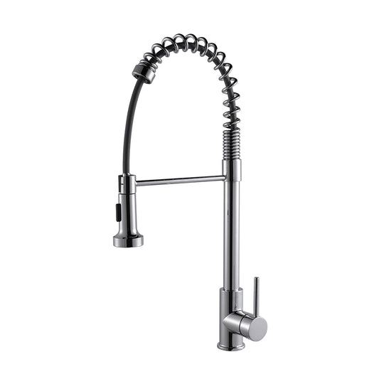 Lexora Lanuvio Brass Single-Handle Pull-Down Spray Kitchen Faucet in Chrome