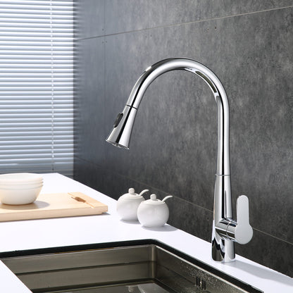 Lexora Furio Brass Single-Handle Pull-Down Spray Kitchen Faucet in Chrome
