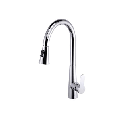 Lexora Furio Brass Single-Handle Pull-Down Spray Kitchen Faucet in Chrome