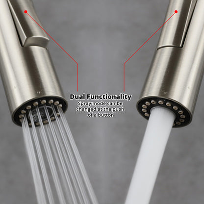 Lexora Olivi Brass Single-Handle Pull-Down Spray Kitchen Faucet in Brushed Nickel