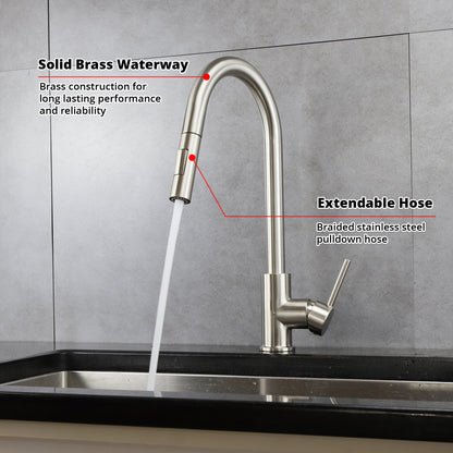Lexora Olivi Brass Single-Handle Pull-Down Spray Kitchen Faucet in Brushed Nickel