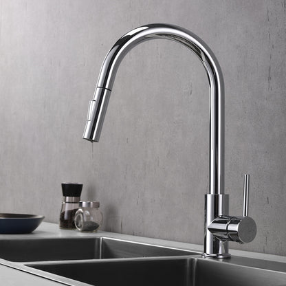 Lexora Olivi Brass Single-Handle Pull-Down Spray Kitchen Faucet in Chrome