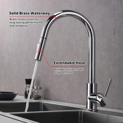 Lexora Olivi Brass Single-Handle Pull-Down Spray Kitchen Faucet in Chrome