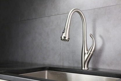 Lexora Garbatella Brass Single-Handle Pull-Down Spray Kitchen Faucet in Brushed Nickel
