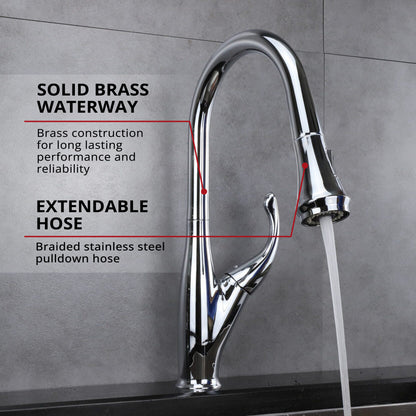 Lexora Garbatella Brass Single-Handle Pull-Down Spray Kitchen Faucet in Chrome