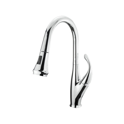 Lexora Garbatella Brass Single-Handle Pull-Down Spray Kitchen Faucet in Chrome