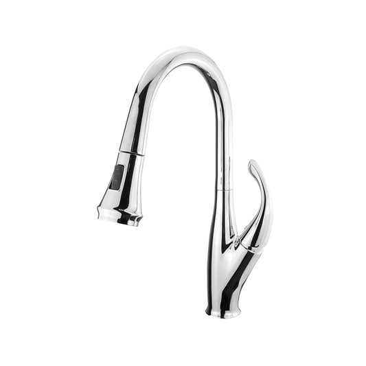 Lexora Garbatella Brass Single-Handle Pull-Down Spray Kitchen Faucet in Chrome