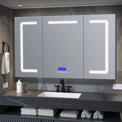 Lexora Lesina 60 in. W x 32 in. H Surface-Mount LED Mirror Medicine Cabinet with Defogger