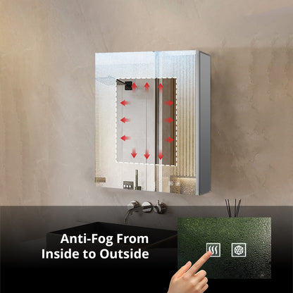 Lexora Corsica 24 in W x 32 in H Surface-Mount LED Mirror Medicine Cabinet with Defogger)