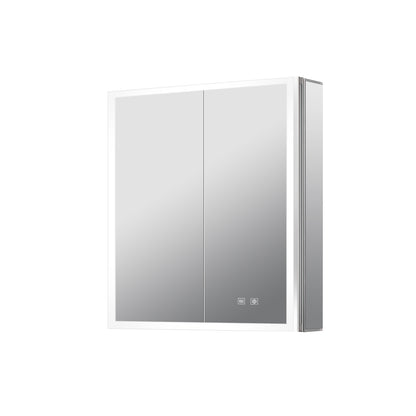 Lexora Mesa 24 in W x 28 in H Surface-Mount LED Mirror Medicine Cabinet with Defogger)