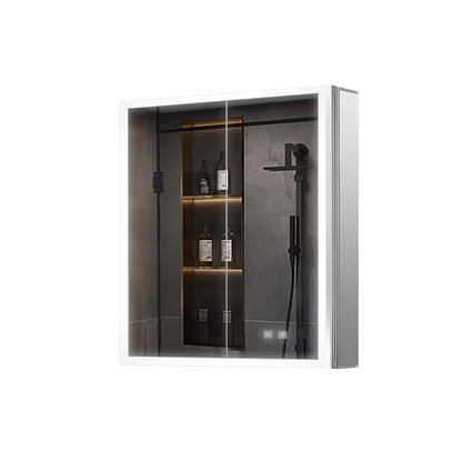 Lexora Mesa 24 in W x 28 in H Surface-Mount LED Mirror Medicine Cabinet with Defogger)