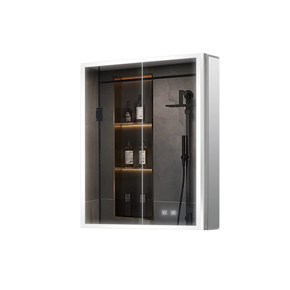 Lexora Mesa 24 in W x 30 in H Surface-Mount LED Mirror Medicine Cabinet with Defogger)