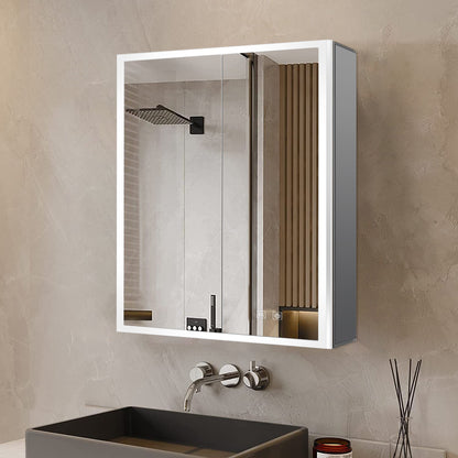 Lexora Mesa 24 in W x 32 in H Surface-Mount LED Mirror Medicine Cabinet with Defogger)