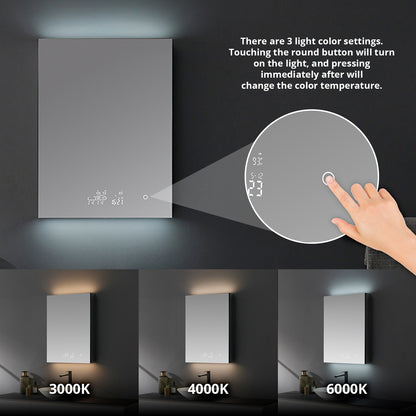 Lexora Savera 24 in. W x 32 in. H Recessed or Surface-Mount LED Mirror Medicine Cabinet with Defogger