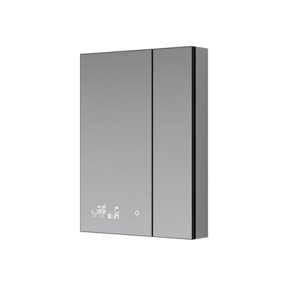 Lexora Savera 24 in. W x 32 in. H Recessed or Surface-Mount LED Mirror Medicine Cabinet with Defogger
