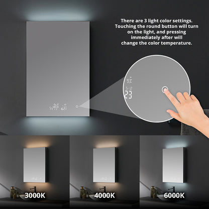 Lexora Savera 24 in. W x 36 in. H Recessed or Surface-Mount LED Mirror Medicine Cabinet with Defogger