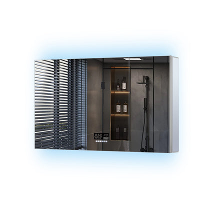 Lexora Savera 48 in. W x 32 in. H Recessed or Surface-Mount LED Mirror Medicine Cabinet with Defogger
