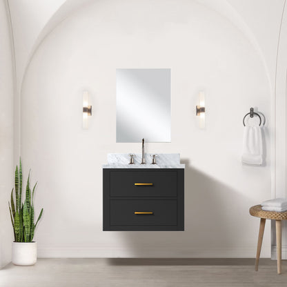 Lexora Castor 24 in. Black Single Sink Bath Vanity