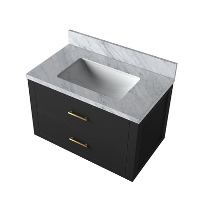 Lexora Castor 30 in. Black Single Sink Bath Vanity