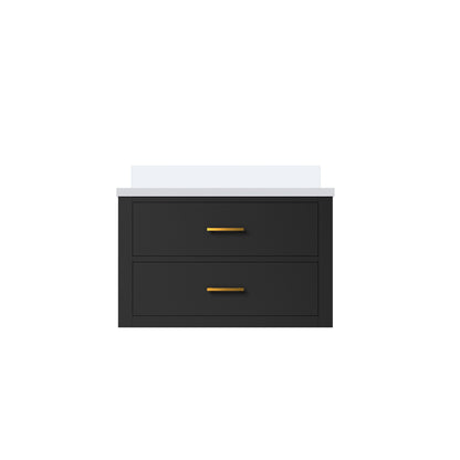 Lexora Castor 30 in. Black Single Sink Bath Vanity