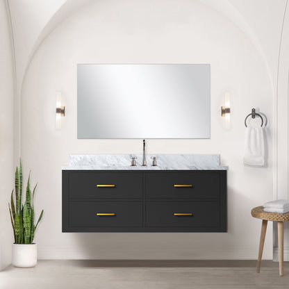 Lexora Castor 48 in. Black Single Sink Bath Vanity