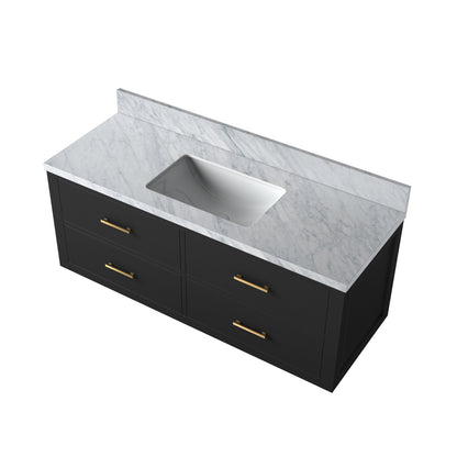 Lexora Castor 48 in. Black Single Sink Bath Vanity