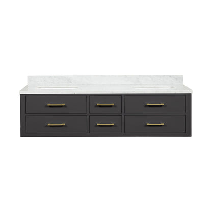 Lexora Castor 72 in. Black Double Sink Bath Vanity