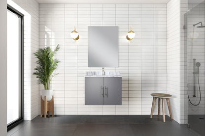 Lexora Geneva 24 in. Dark Grey Single Sink Bath Vanity