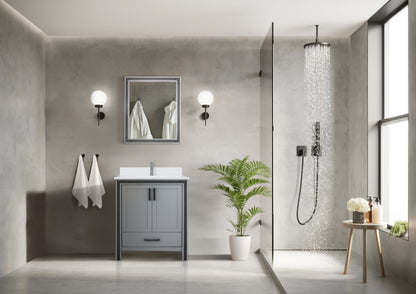 Lexora Ziva 30 in. Dark Grey Single Sink Bath Vanity