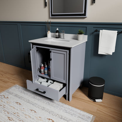 Lexora Ziva 30 in. Dark Grey Single Sink Bath Vanity