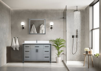 Lexora Ziva 48 in. Dark Grey Single Sink Bath Vanity