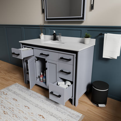 Lexora Ziva 48 in. Dark Grey Single Sink Bath Vanity