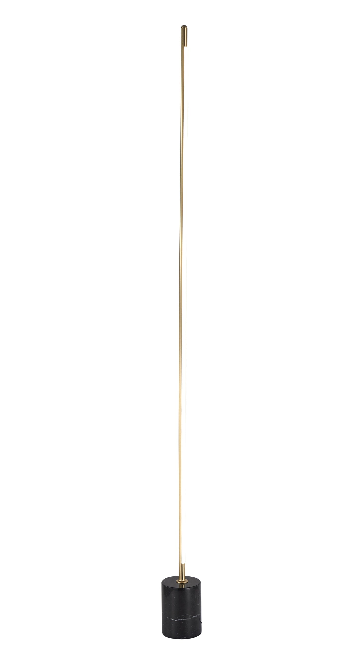 Brass & Black LED Floor Lamp - FT82F60BR