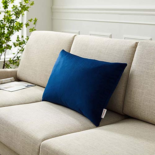 Modway Enhance Lumbar Performance Velvet Accent Throw Pillow