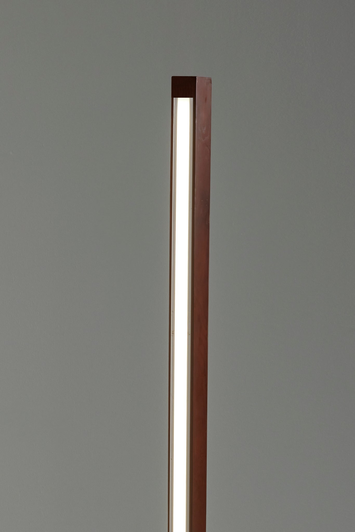 Elliott LED Wall Washer with Smart Switch